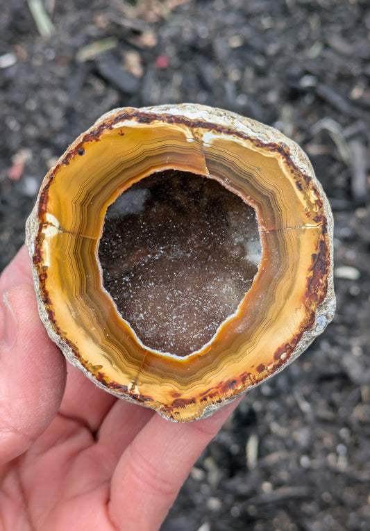 Agate Drusy Geode from Rio Grande do Sul, Brazil