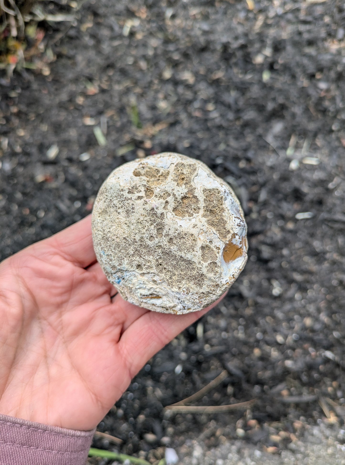 Agate Drusy Geode from Rio Grande do Sul, Brazil