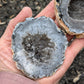 Agate Drusy Oco Geode Pair from Rio Grande do Sul, Brazil