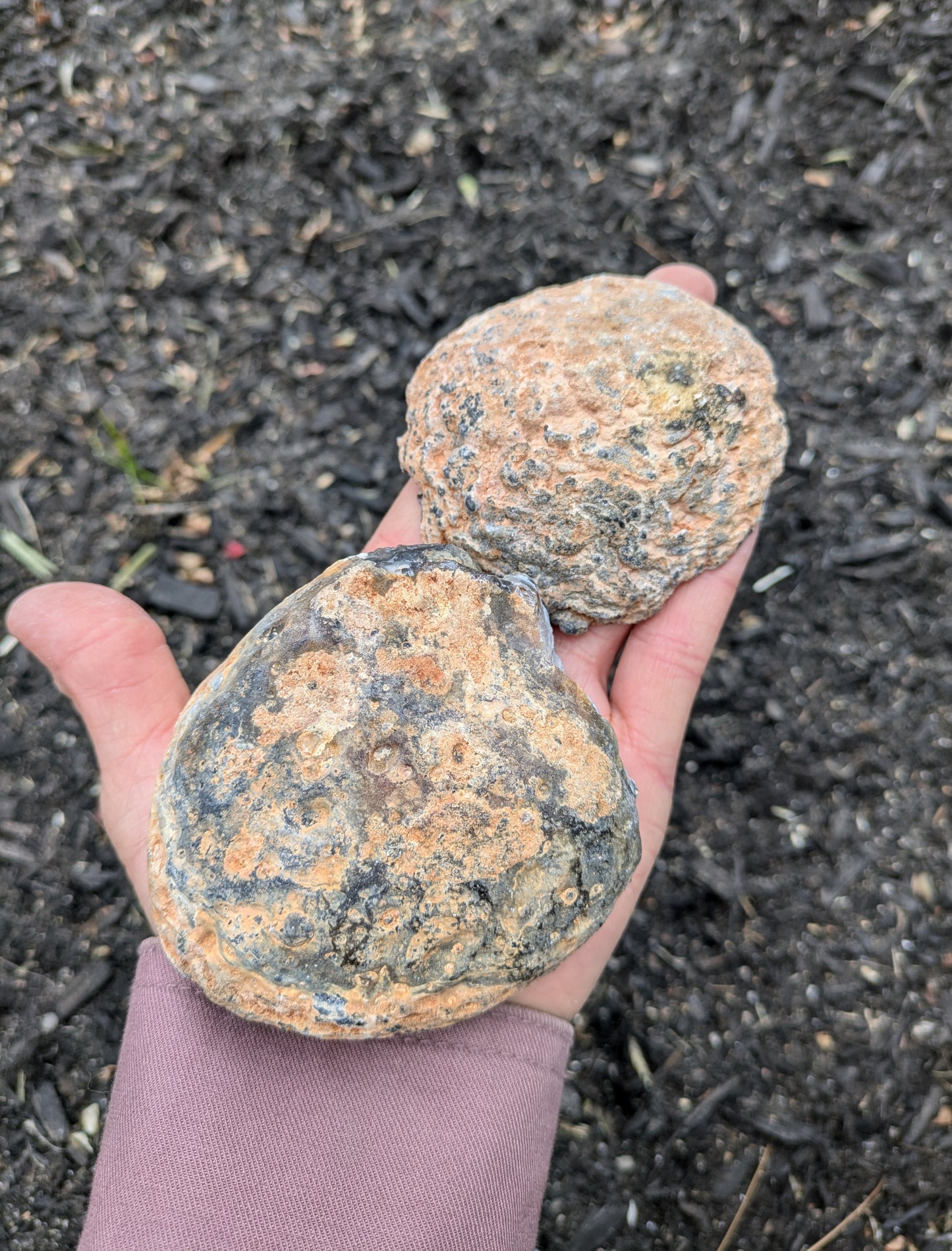 Agate Drusy Oco Geode Pair from Rio Grande do Sul, Brazil