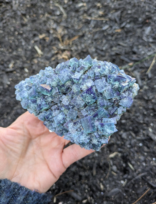 Fluorite from the Naughty Gnome Pocket, Diana Maria Mine, Frosterly Weardale, Co. Durham, England