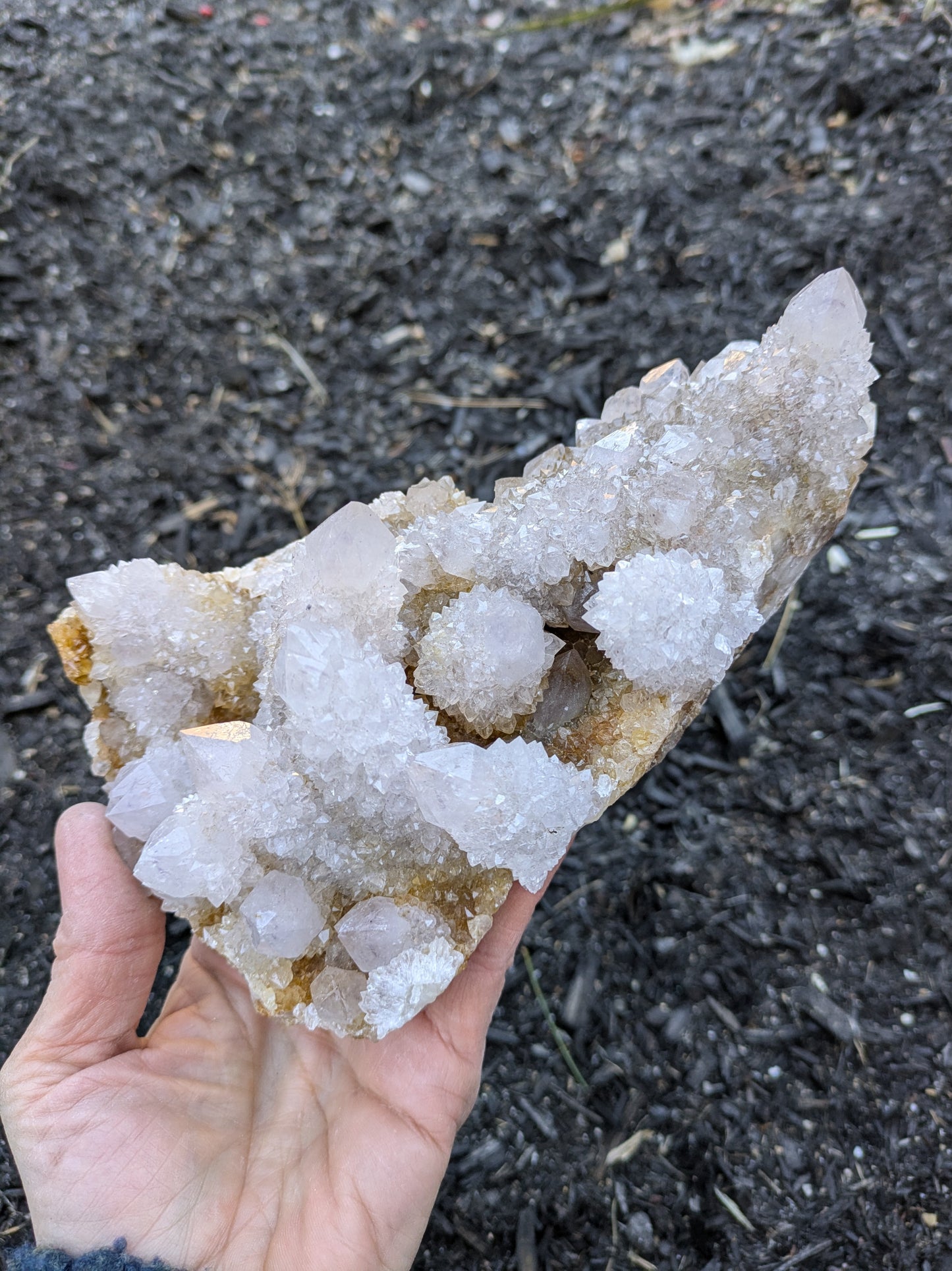 Spirit Cactus Quartz from Rep. South Africa