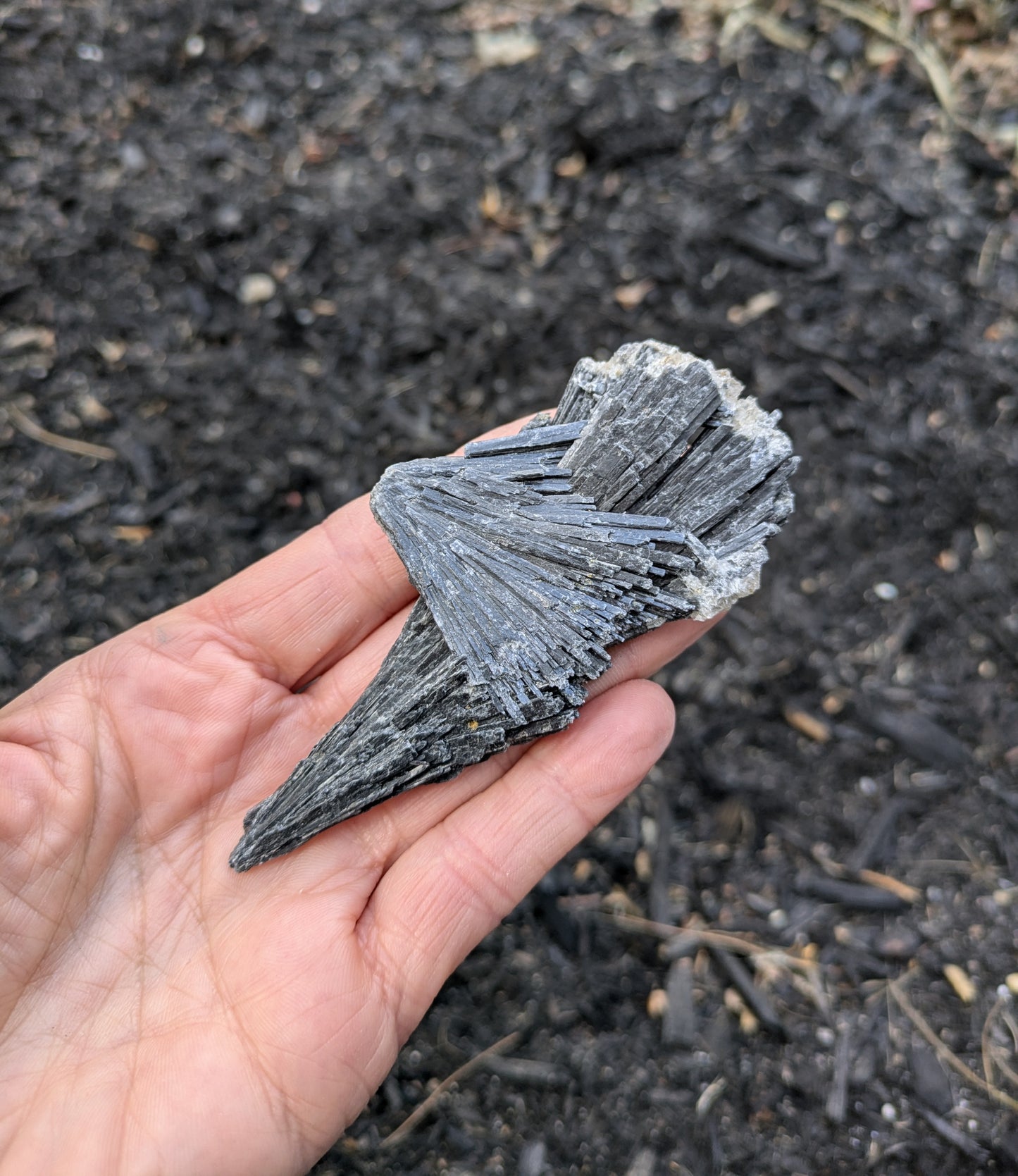 Black Kyanite from Brazil