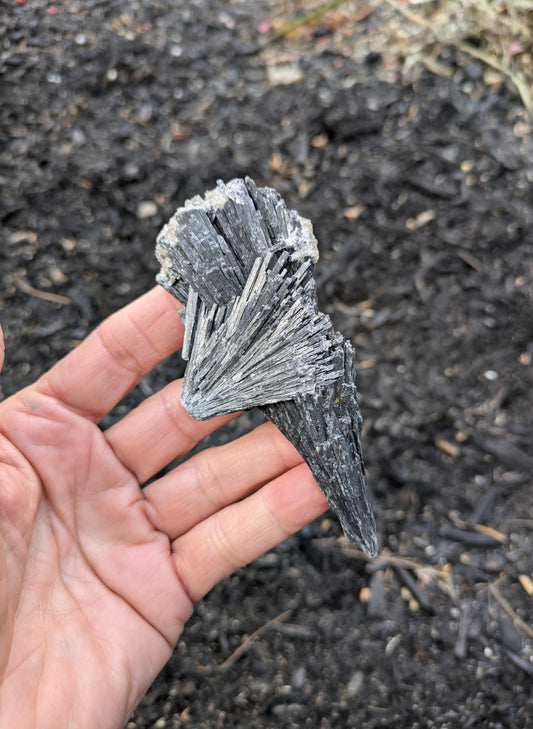 Black Kyanite from Brazil