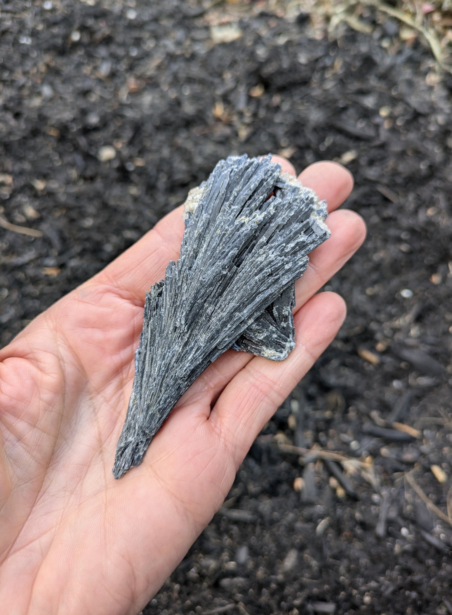 Black Kyanite from Brazil