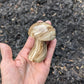 Brown Aragonite Mushroom from Pakistan