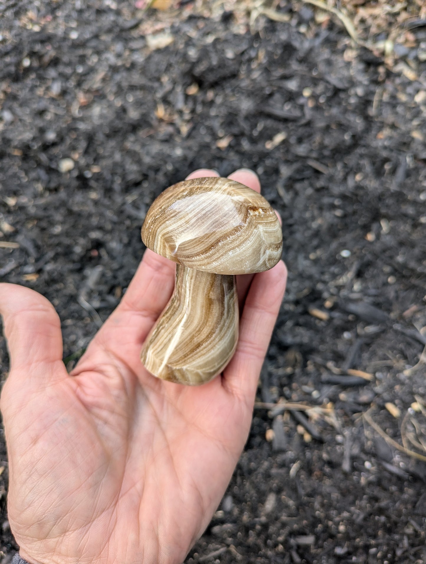 Brown Aragonite Mushroom from Pakistan