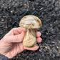 Brown Aragonite Mushroom from Pakistan