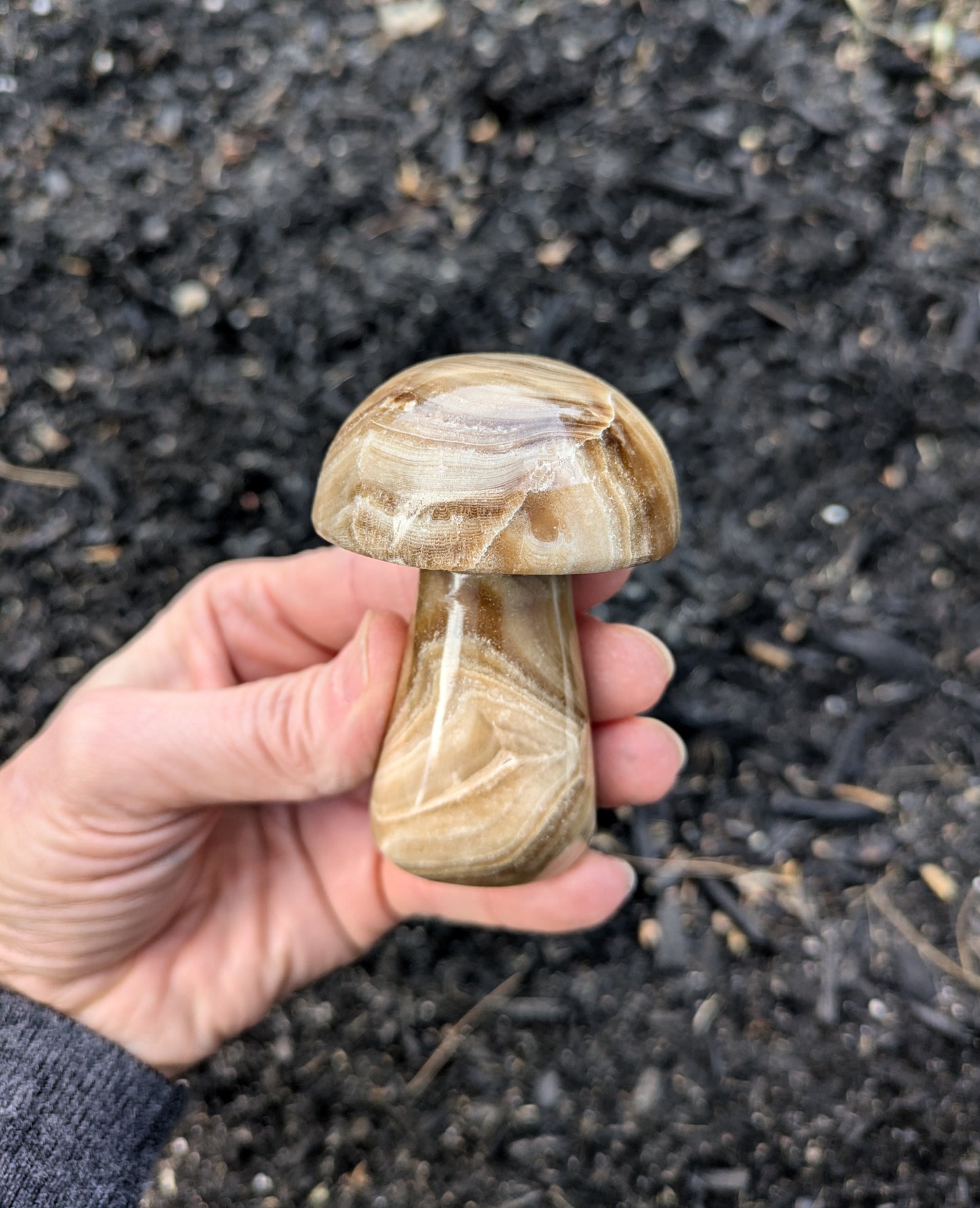 Brown Aragonite Mushroom from Pakistan