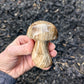 Brown Aragonite Mushroom from Pakistan