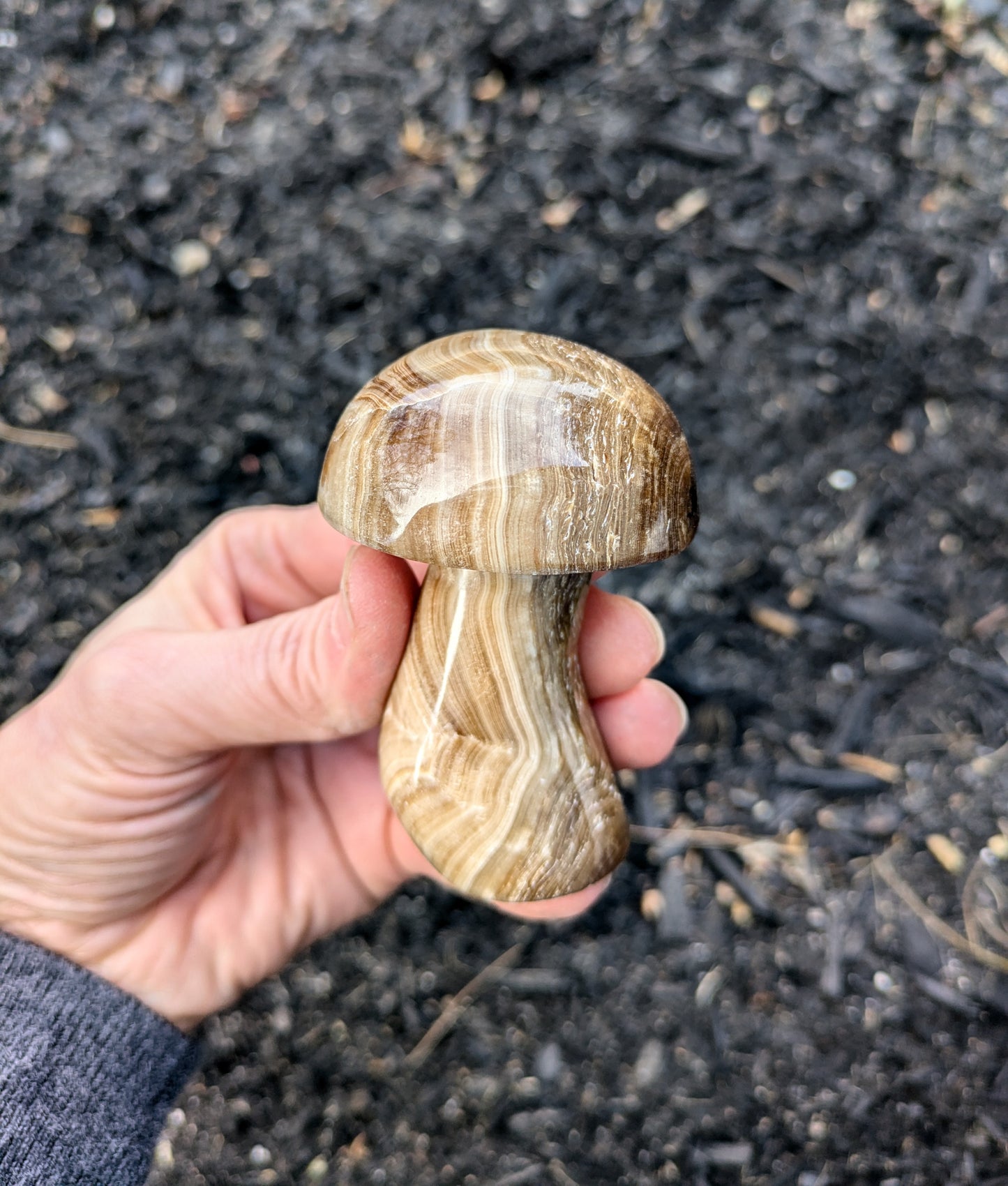 Brown Aragonite Mushroom from Pakistan