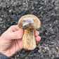 Brown Aragonite Mushroom from Pakistan