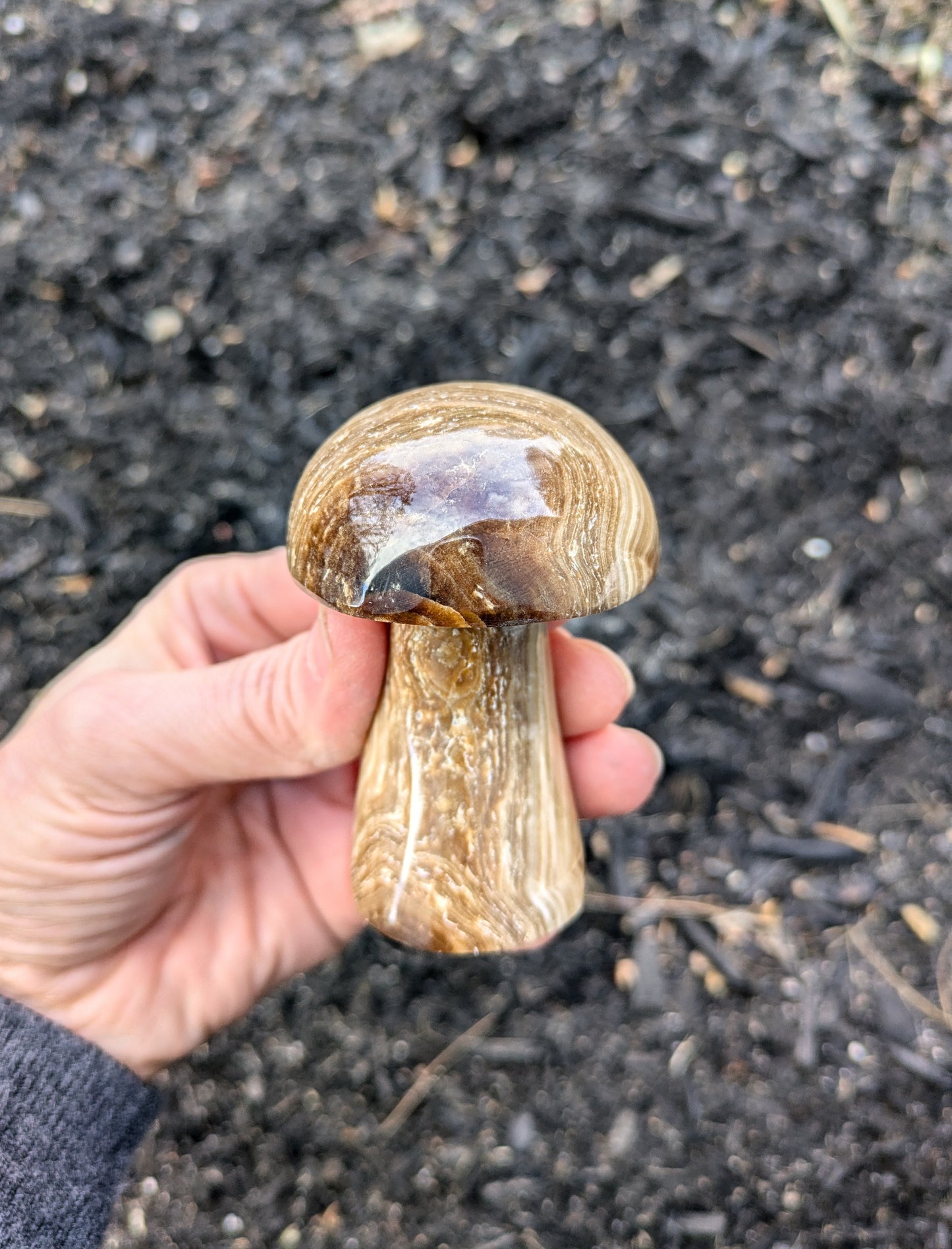 Brown Aragonite Mushroom from Pakistan