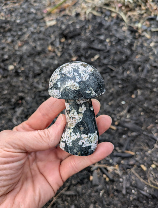 Snowflake Obsidian Crystal Mushroom from Pakistan