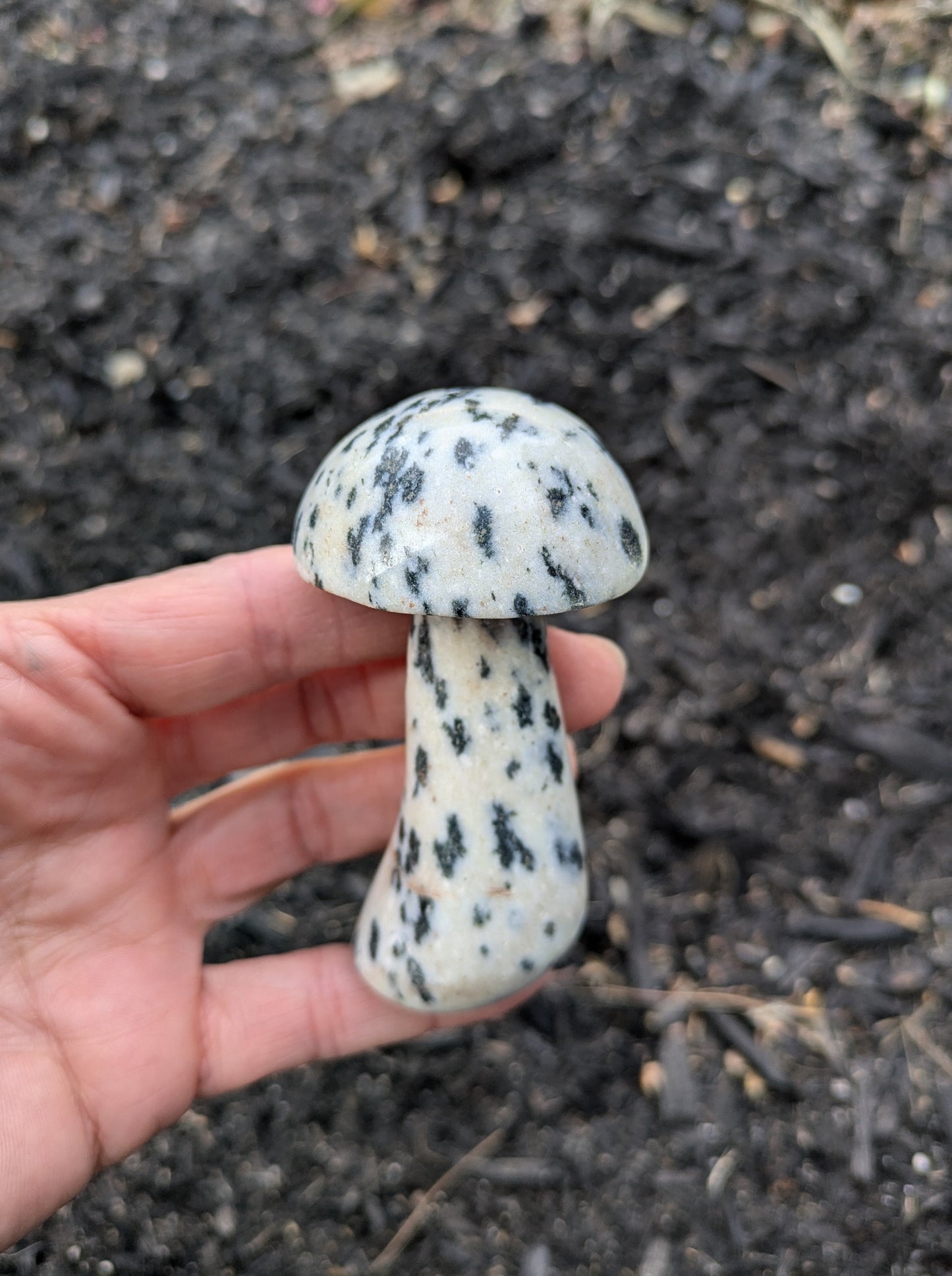 Hematite in Matrix Mushroom Carving from Pakistan