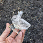 Faden Quartz with Hematite Confetti from Pakistan