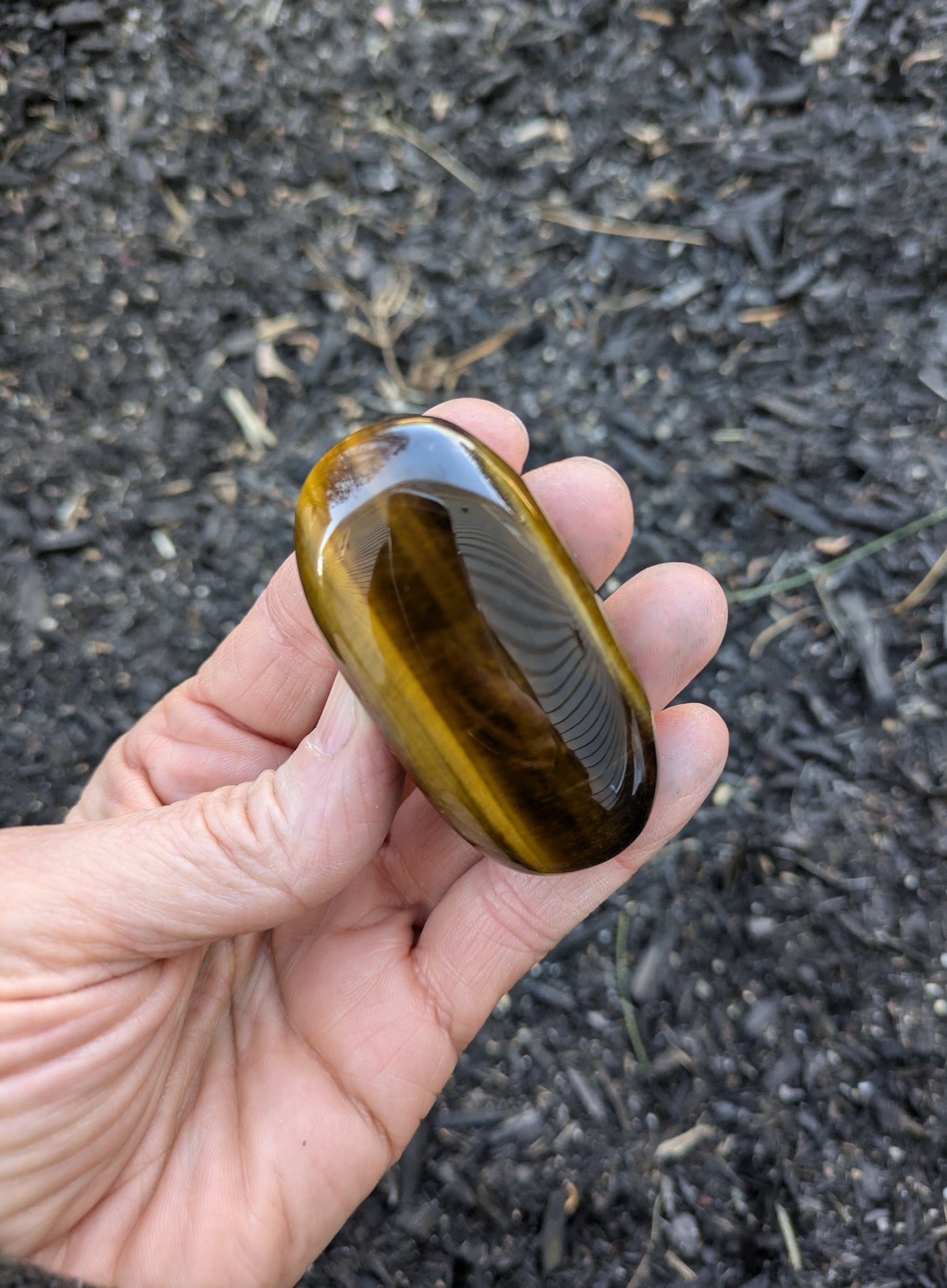 Tiger's Eye Polished Stone from South Africa