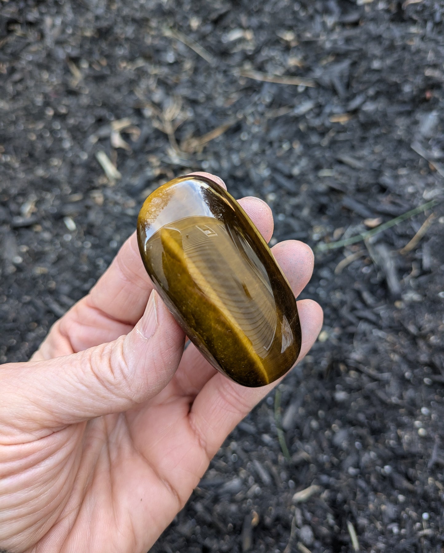 Tiger's Eye Polished Stone from South Africa