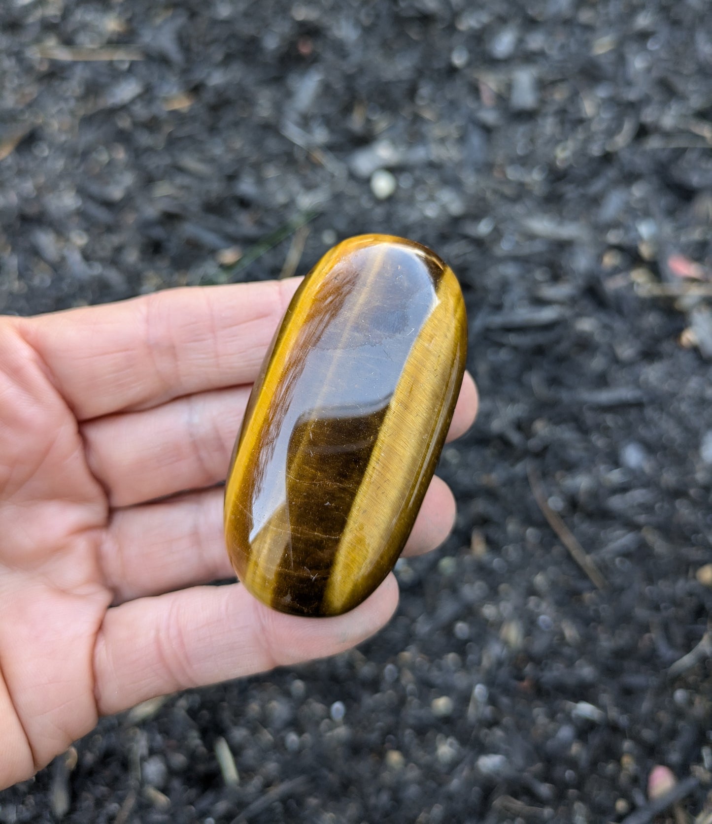 Tiger's Eye Polished Stone from South Africa