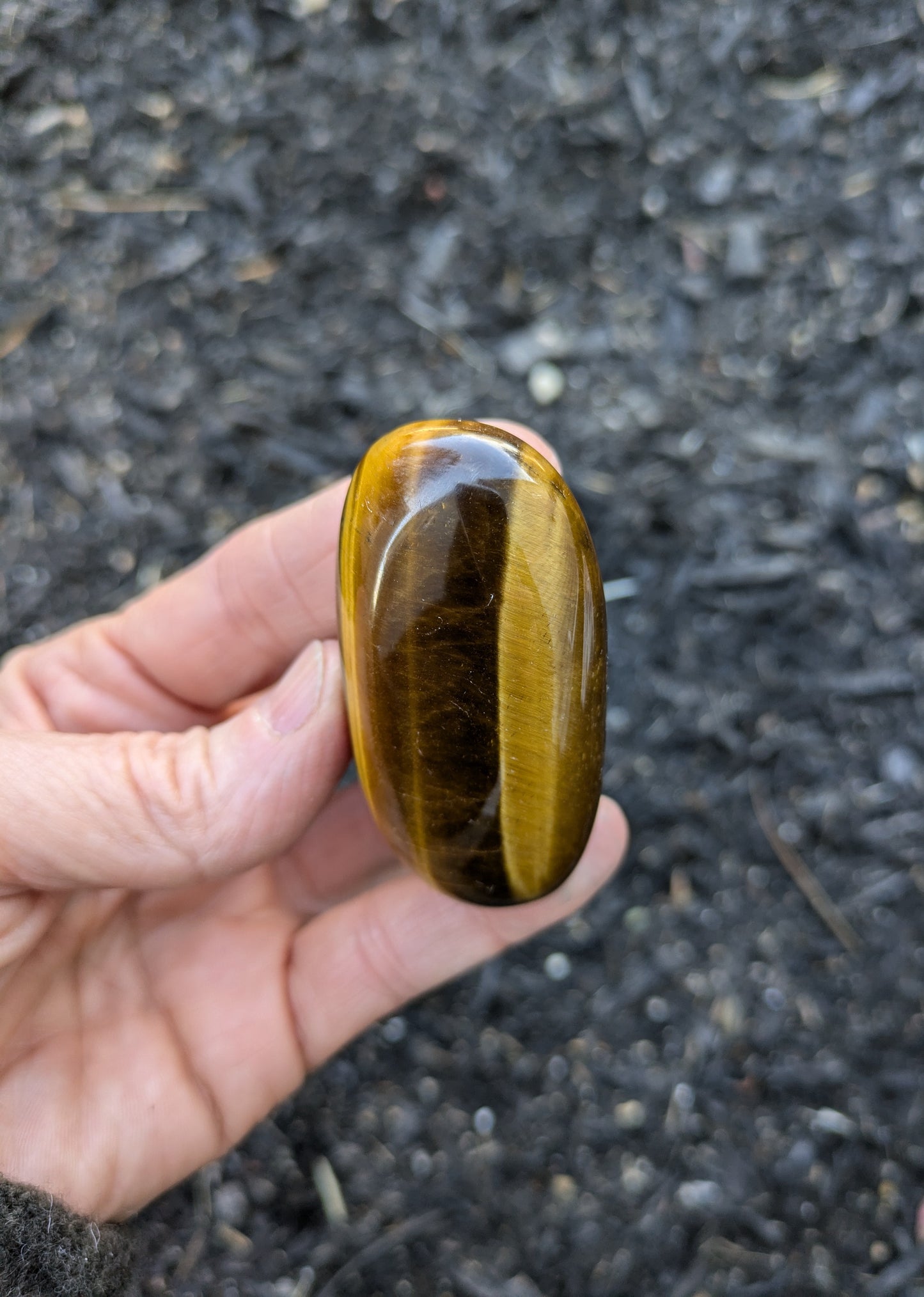 Tiger's Eye Polished Stone from South Africa