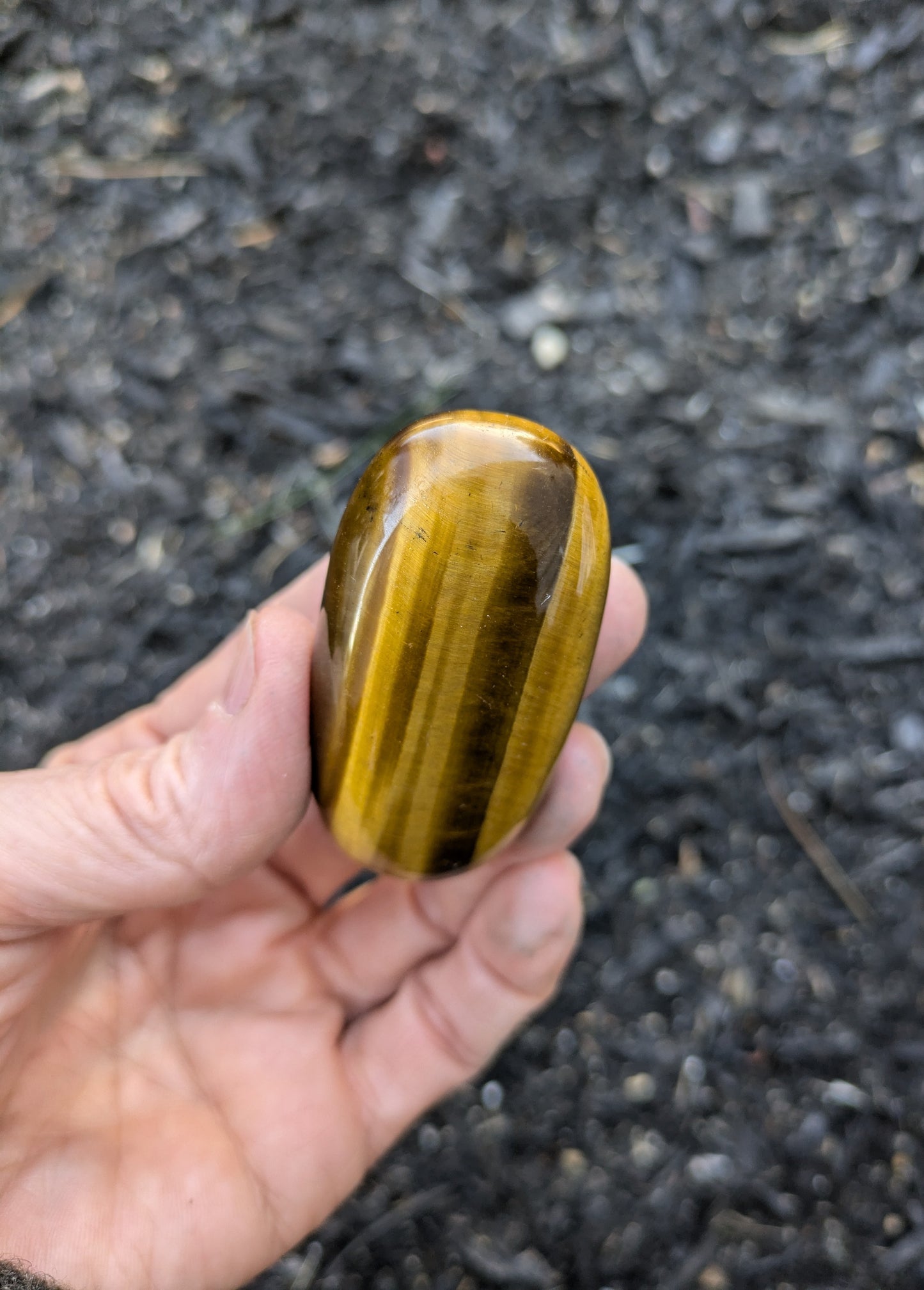 Tiger's Eye Polished Stone from South Africa