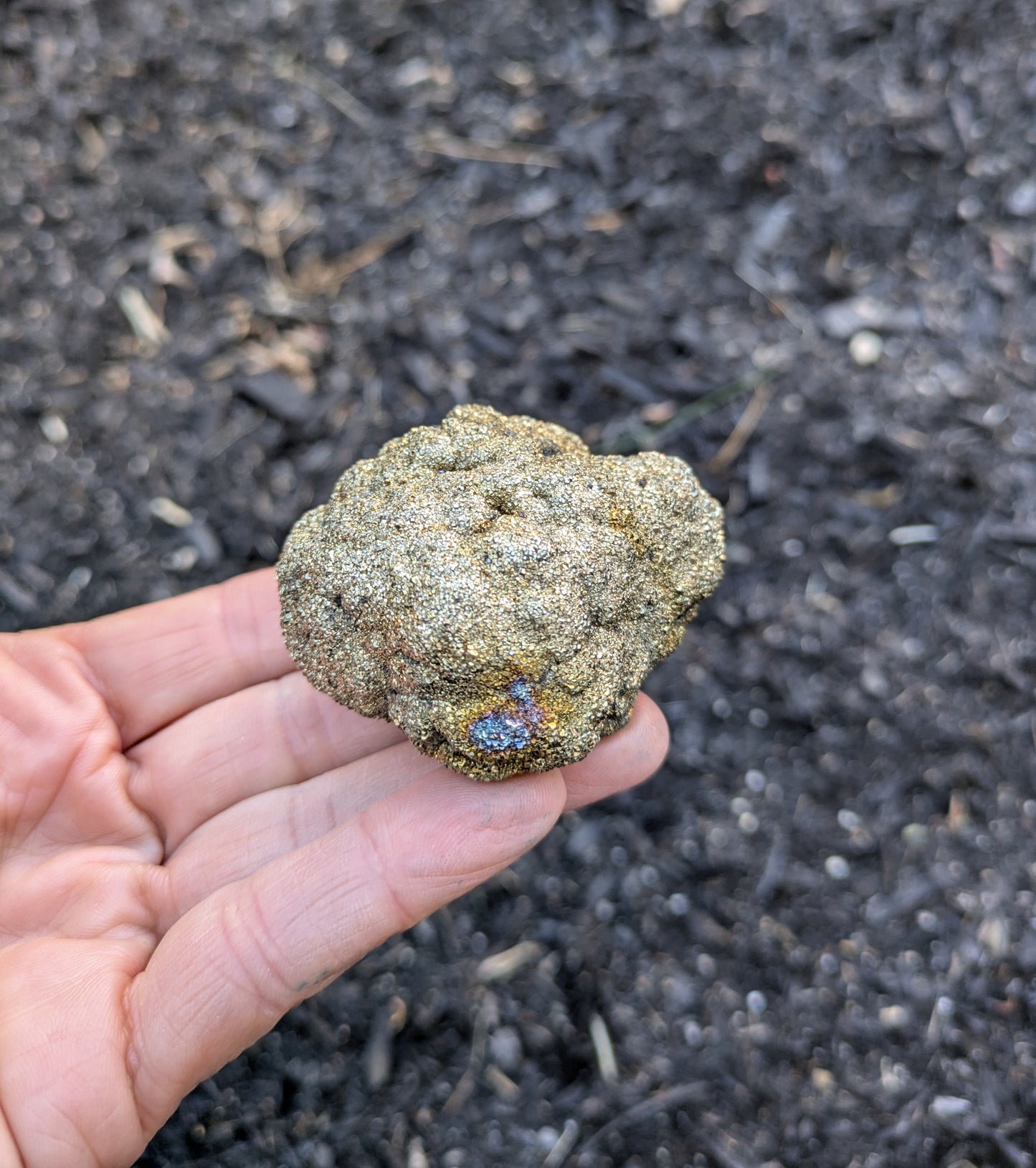 Pyrite with Rainbow Iridescence from Pakistan