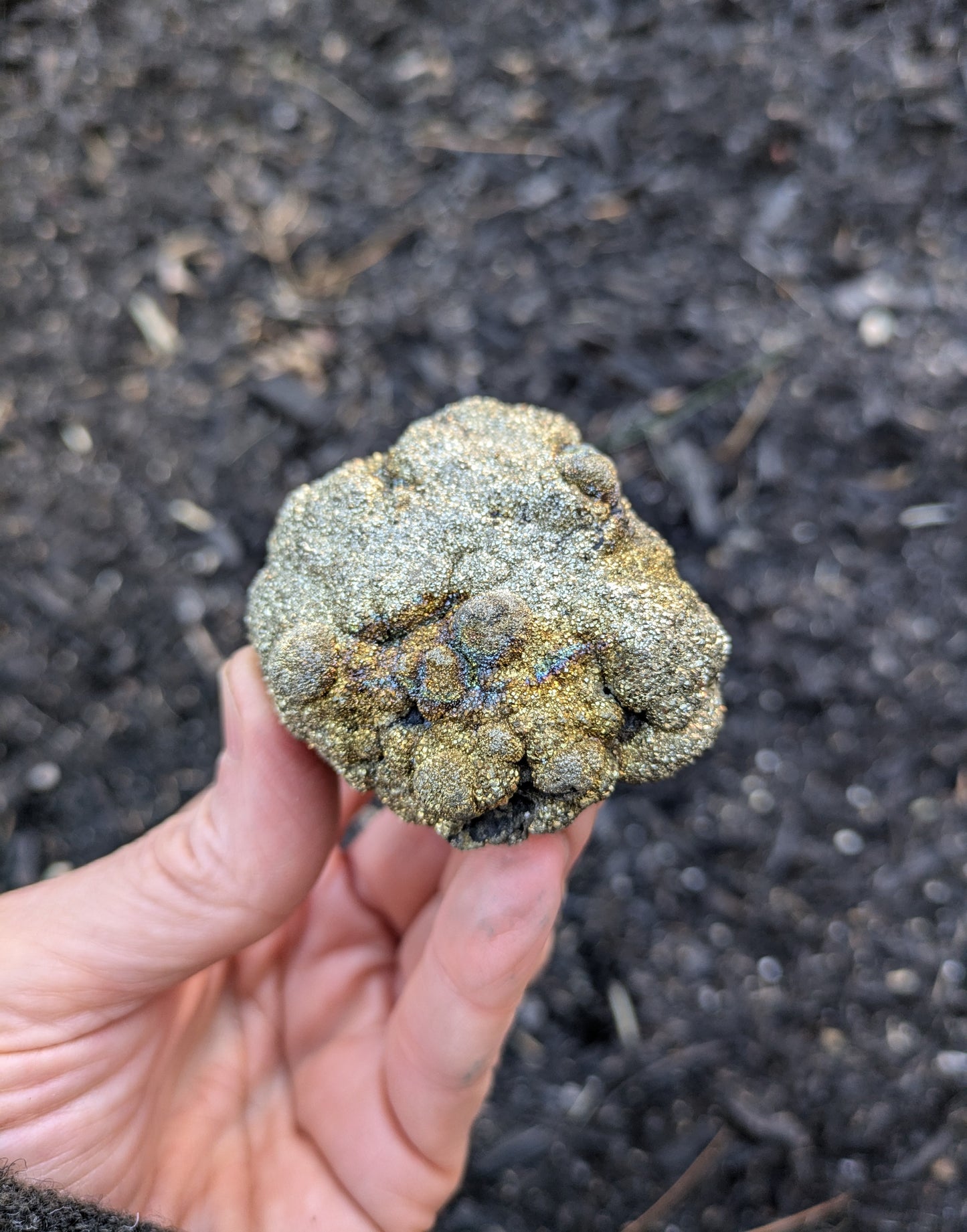 Pyrite with Rainbow Iridescence from Pakistan