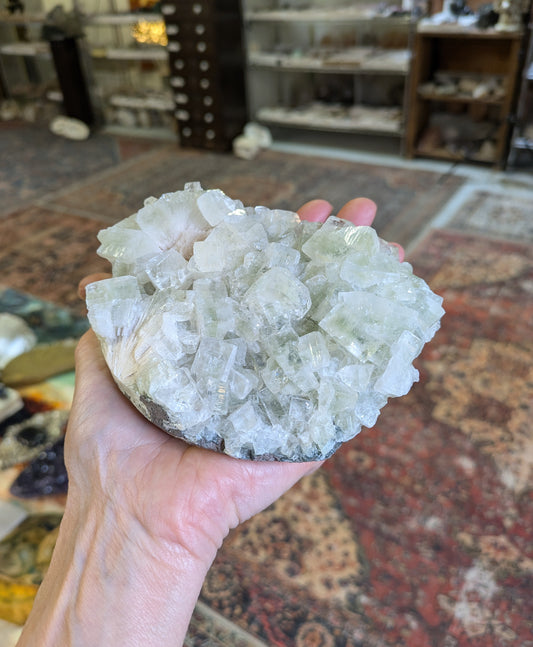 Green Apophyllite and Scolecite from India