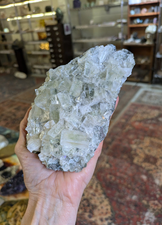 Green Apophyllite from India