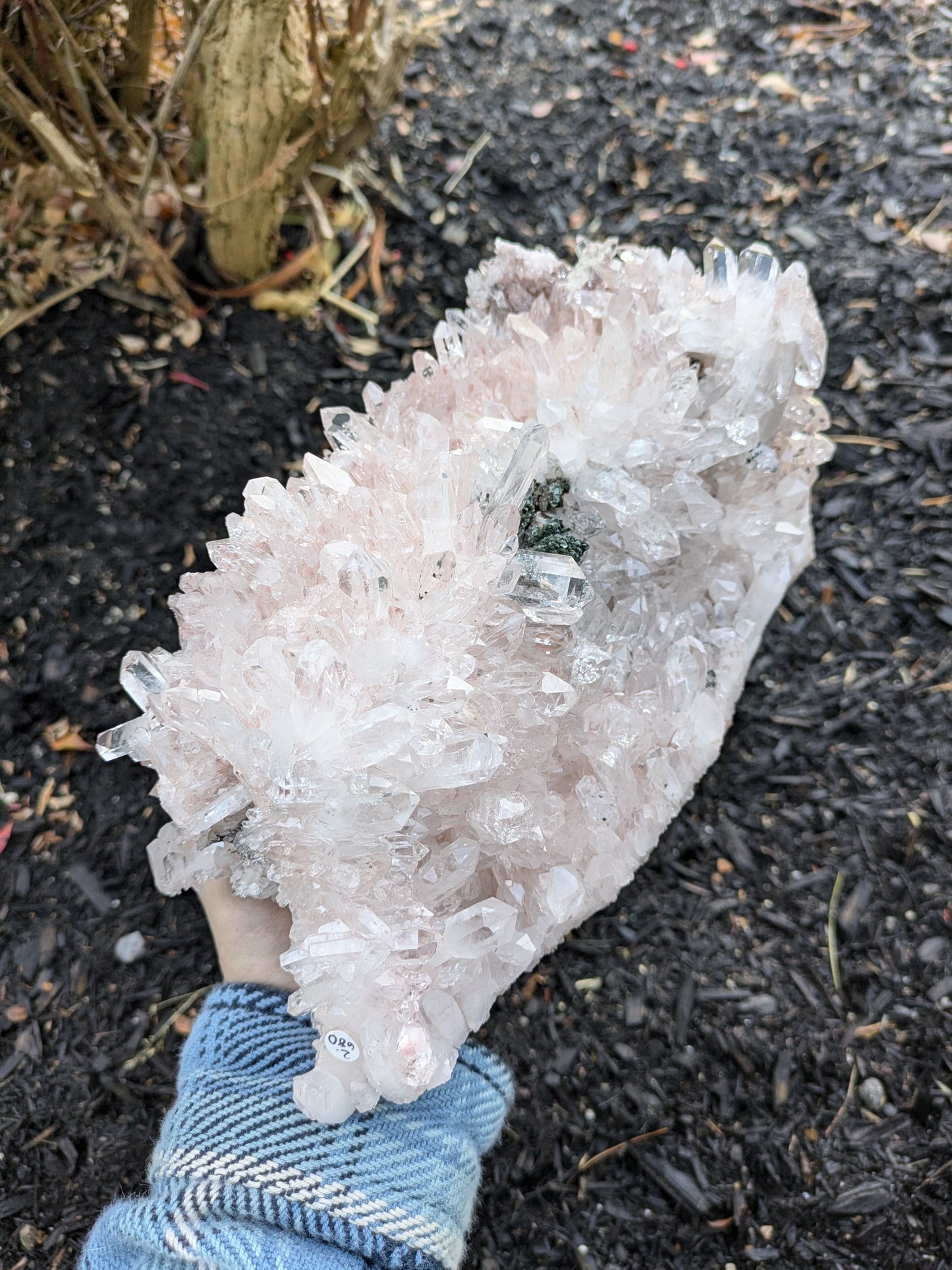 Pink Quartz with Clinochlore from Santander, Colombia