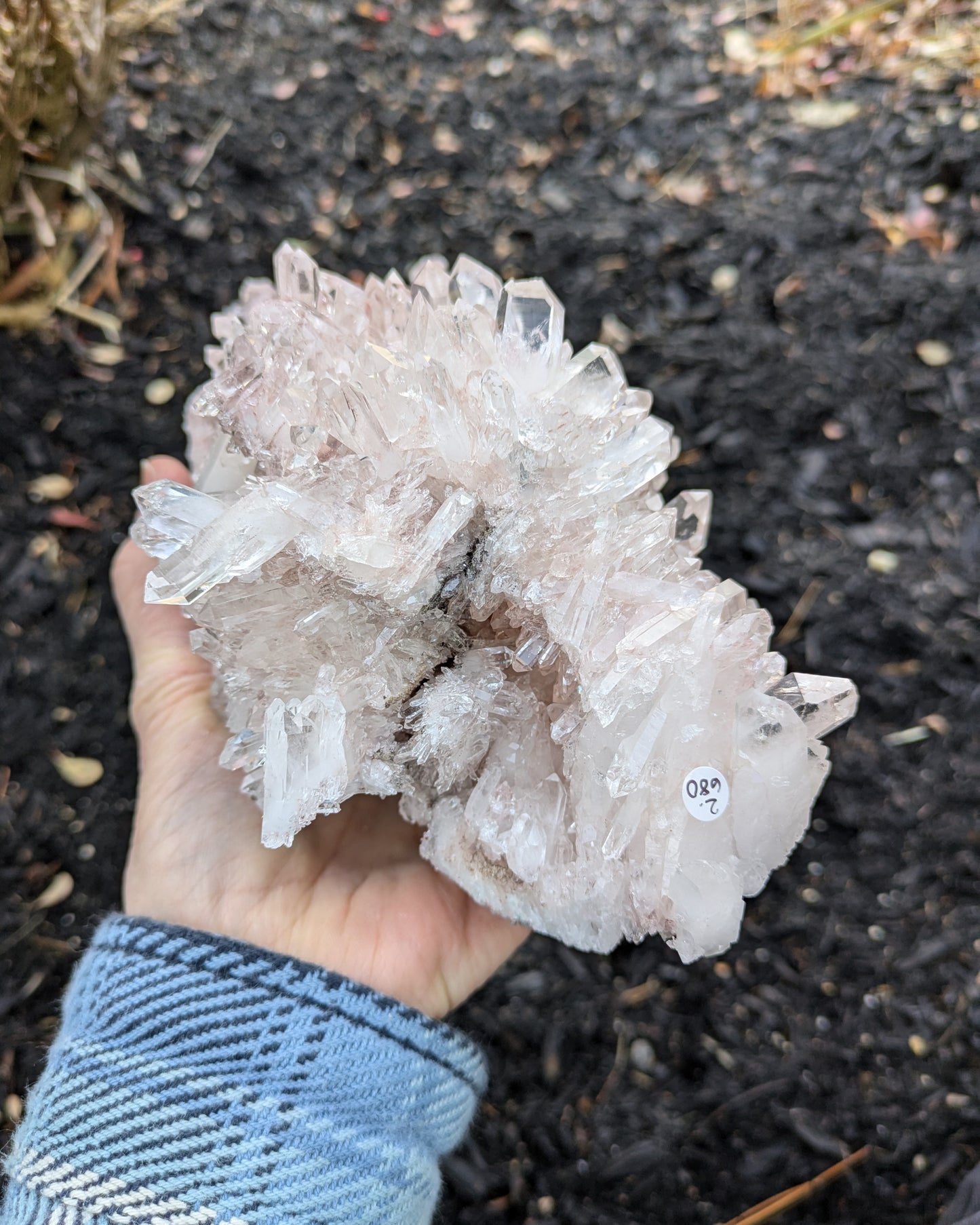 Pink Quartz with Clinochlore from Santander, Colombia