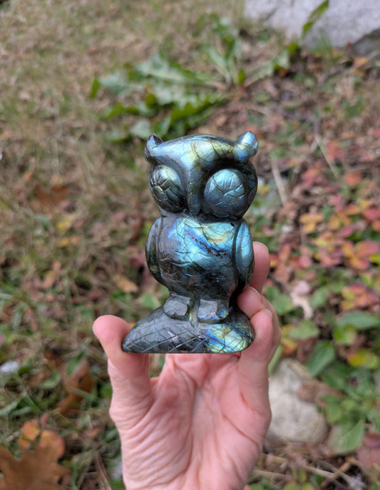 Labradorite Owl from India