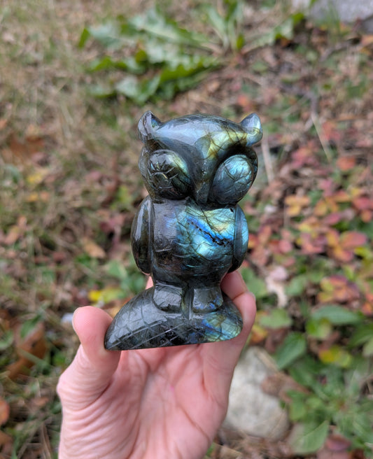 Labradorite Owl from India