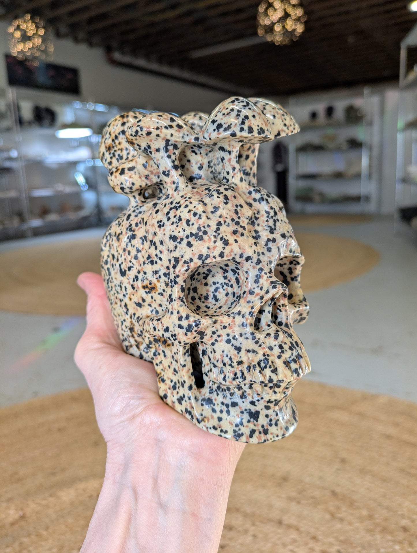 Dalmation Rock Mushroom Head Skull