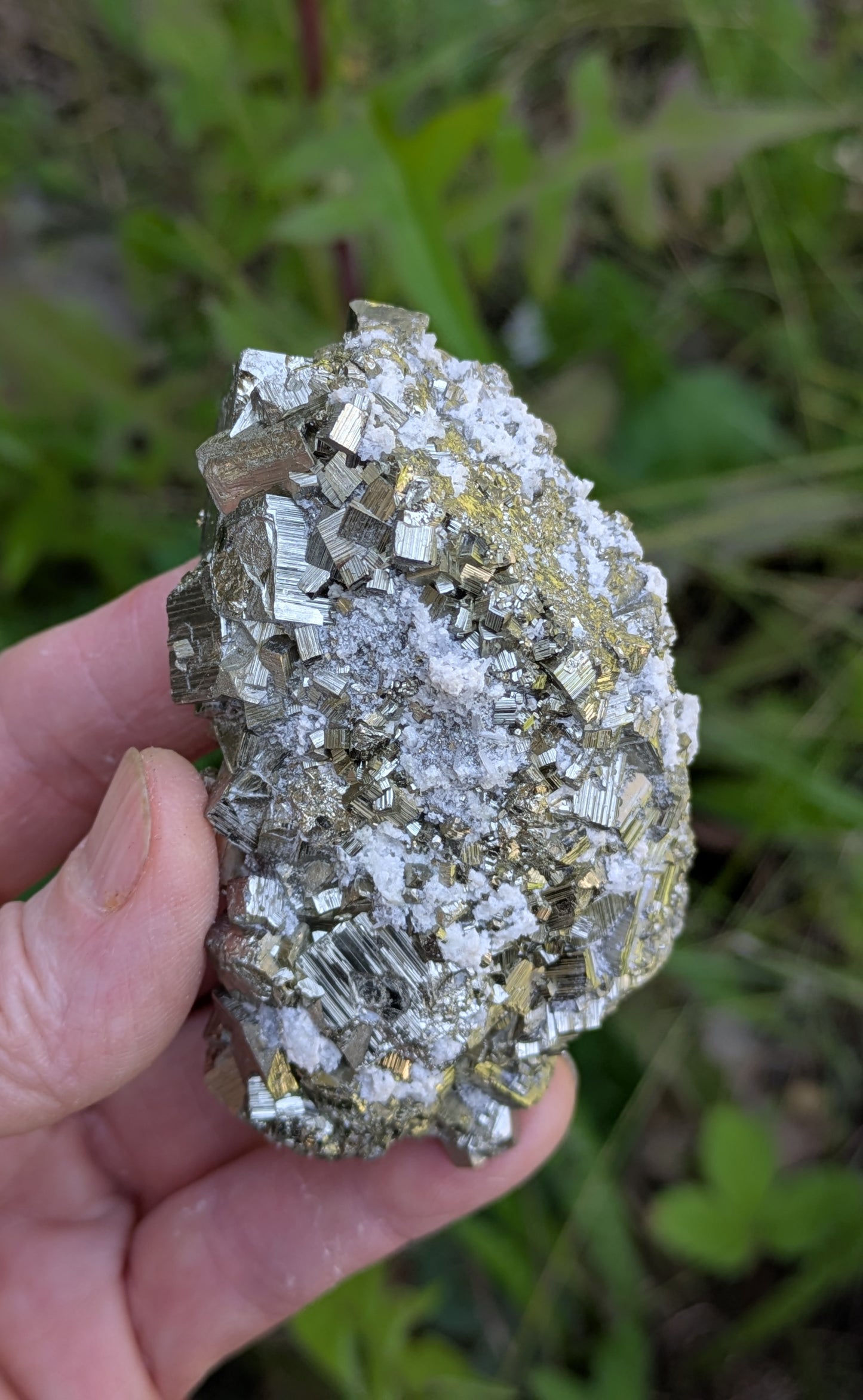 Pyrite and Quartz from Huanzala Mine, Bolognesi Province, Ancash Department, Peru