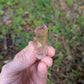 Polished Quartz Tower with Powellite and Smokey Phantoms from Minas Gerais, Brazil