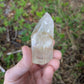 Polished Quartz Tower with Powellite and Smokey Phantoms from Minas Gerais, Brazil