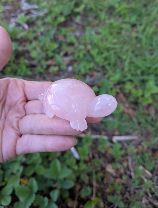 Rose Quartz Turtle Carved India (S-2)