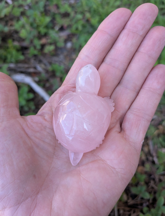 Rose Quartz Turtle Carved India (S-2)