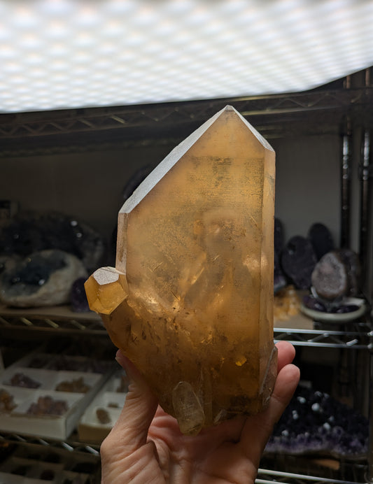 Double Terminated Citrine from Congo