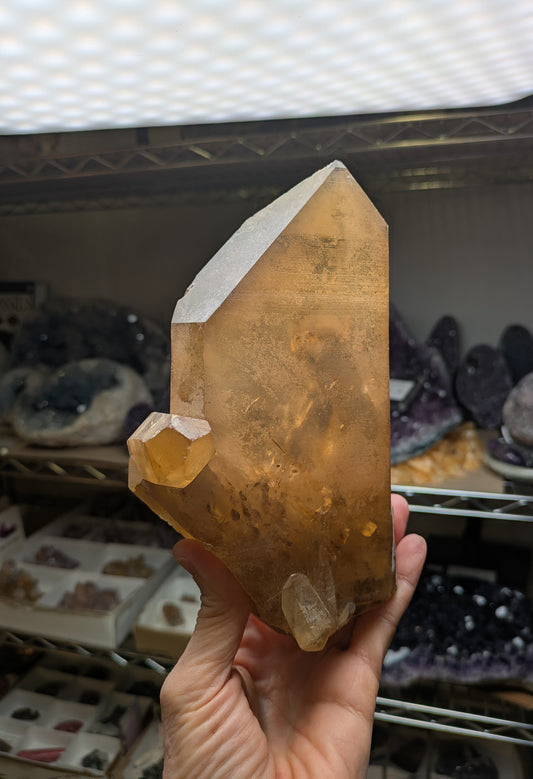 Double Terminated Citrine from Congo