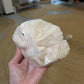 Stilbite with Scolecite from India
