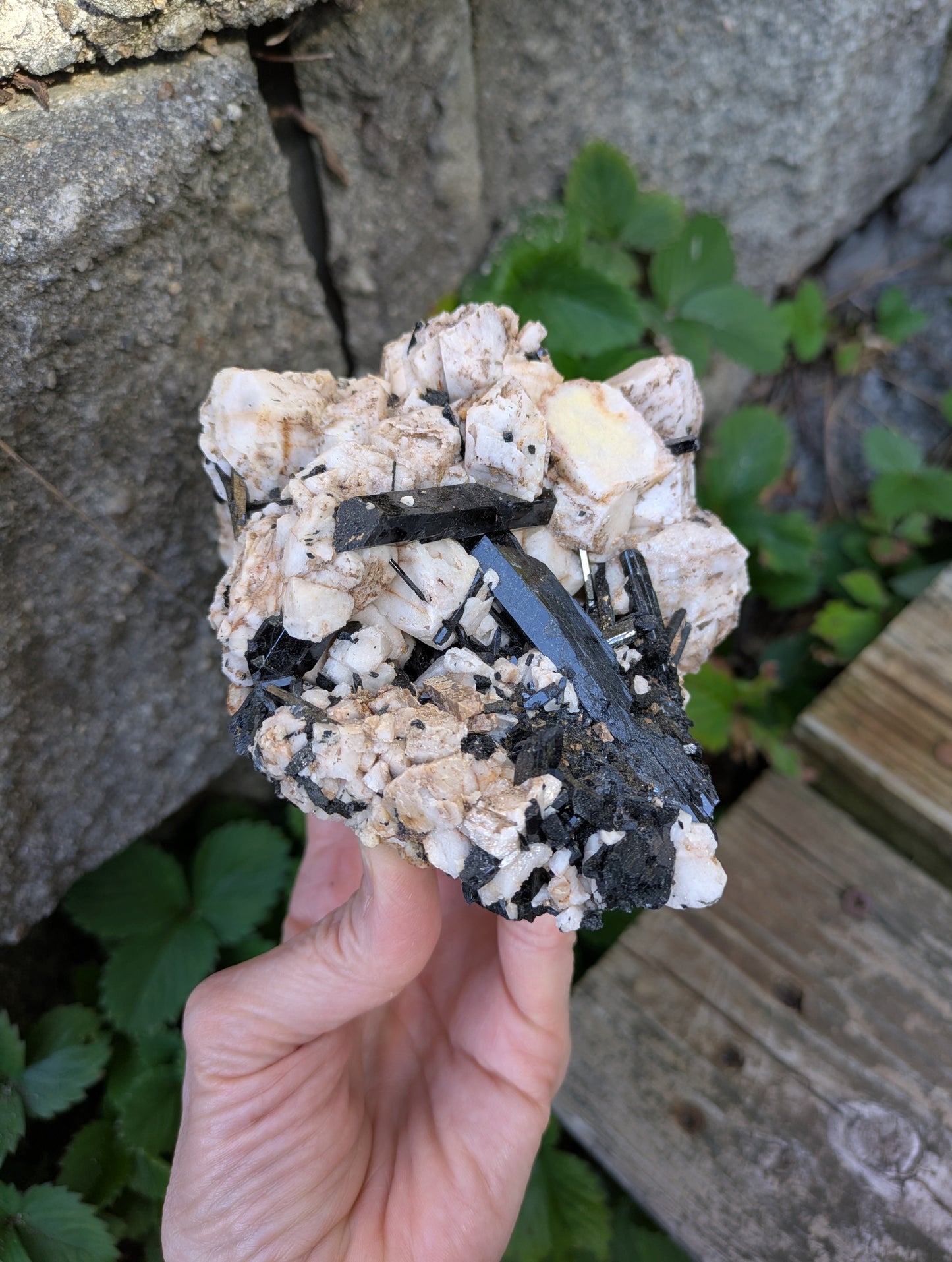 Aegirine and Feldspar from Mt. Malosa, Malawi