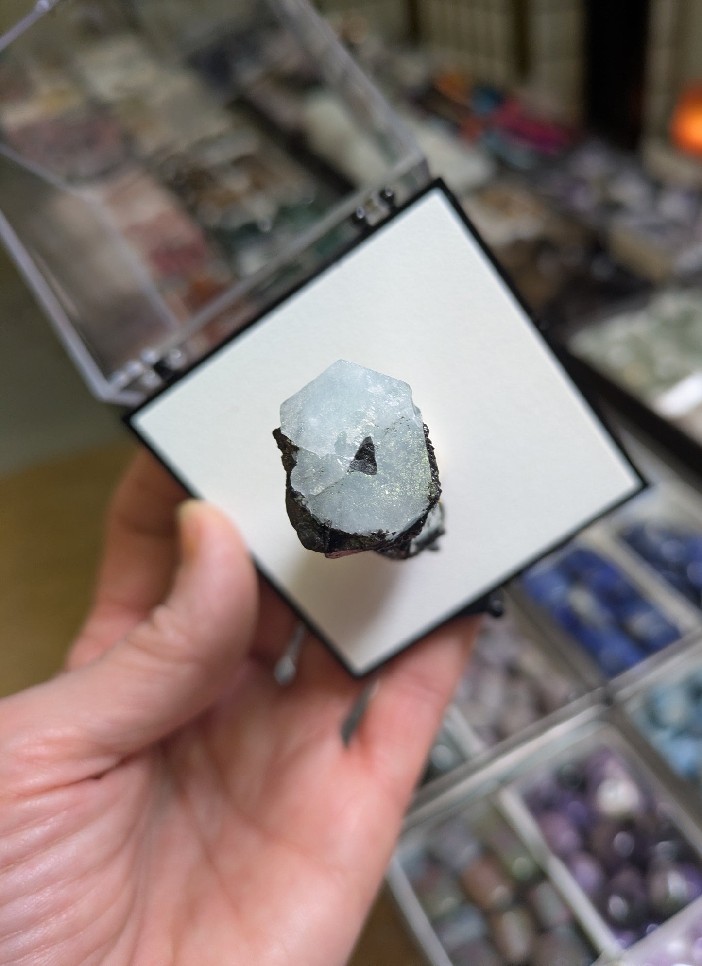 Aquamarine with Black Tourmaline from Pakistan