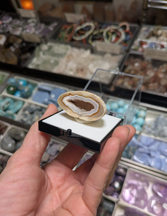 Agate Geode from Rio Grande do Sul, Brazil