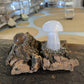 Calcite Mushroom and Quartz Orb Light Base Illuminated Lamp