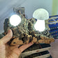Calcite Mushroom and Quartz Orb Light Base Illuminated Lamp