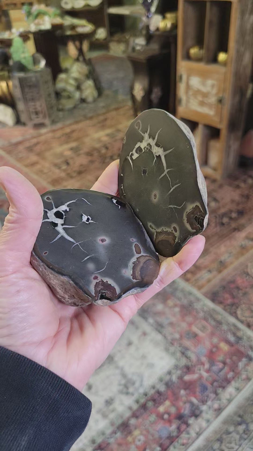 Septarian Nodule from Morocco – Lavish Earth