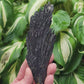Black Kyanite from Brazil