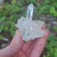 Himalayan Quartz Cluster with Clinochlore from Himachal Pradesh, India